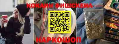 apvp Камышлов