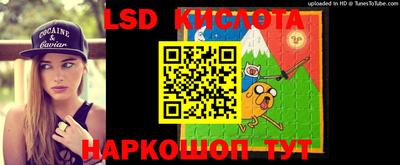 apvp Камышлов