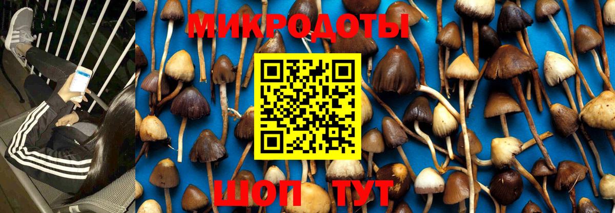 Гатчина  Галлюциногенные грибы прущие грибы  Галлюциногенные грибы Psilocybine cubensis  Вход с VPN 